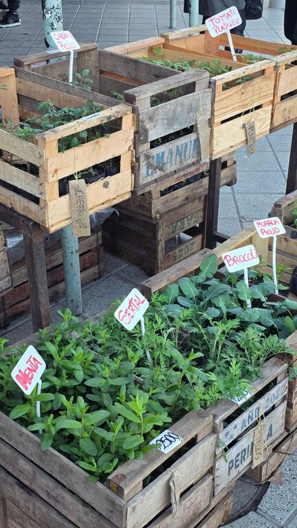 Cómo preparar un huerto urbano y disfrutar de la jardinería en espacios pequeños